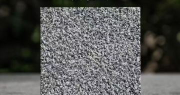 安徽 芝麻黑荔枝面