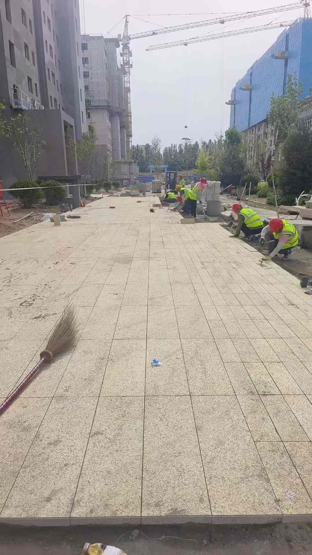 安徽黄金麻荔枝面地铺案例